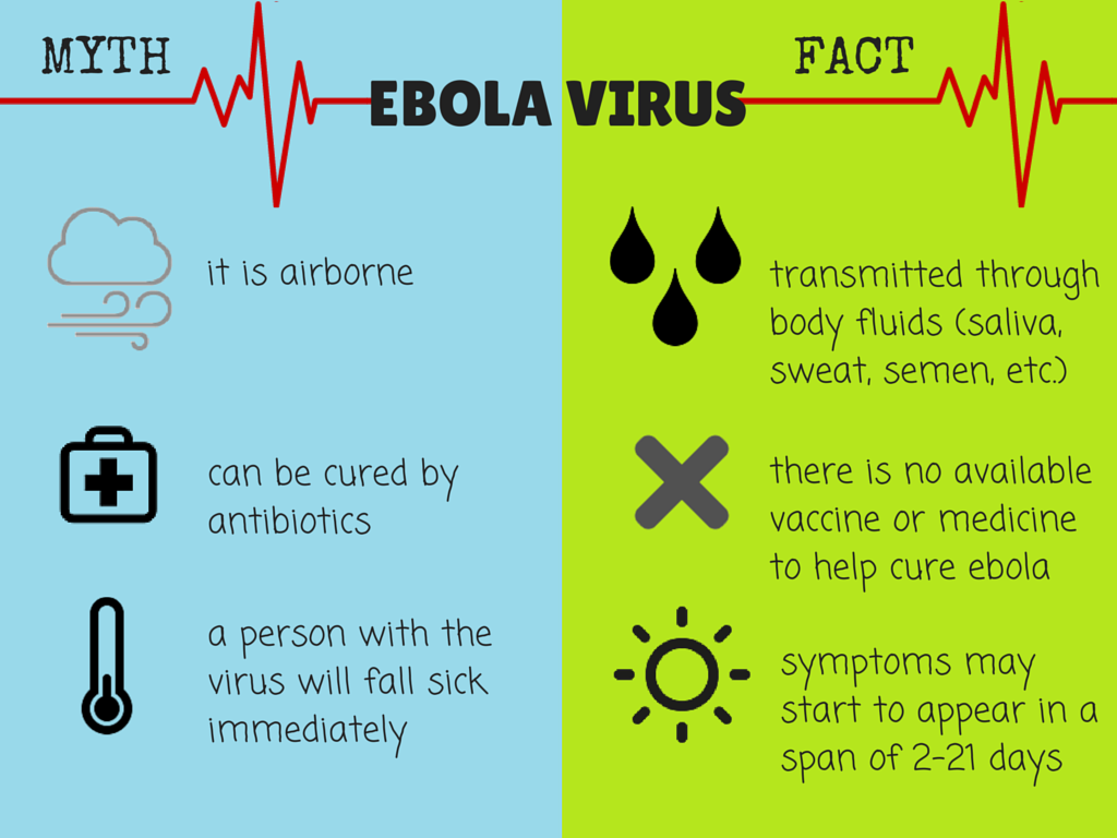 Ebola Virus Facts and Myths | Infographics by Pat Torres and Joshua Patricio